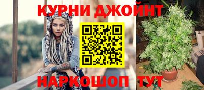 гашик Изобильный