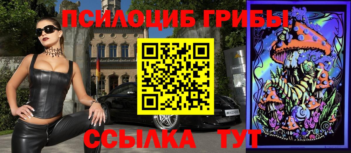 Галлюциногенные грибы MAGIC MUSHROOMS Каменка