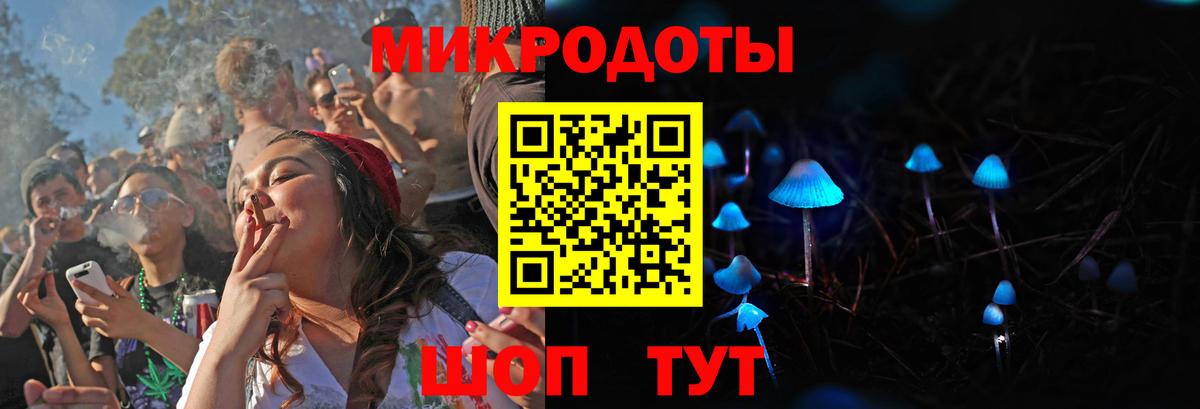 Псилоцибиновые грибы Psilocybe  Вход с VPN  Псилоцибиновые грибы ЛСД  Каменка 