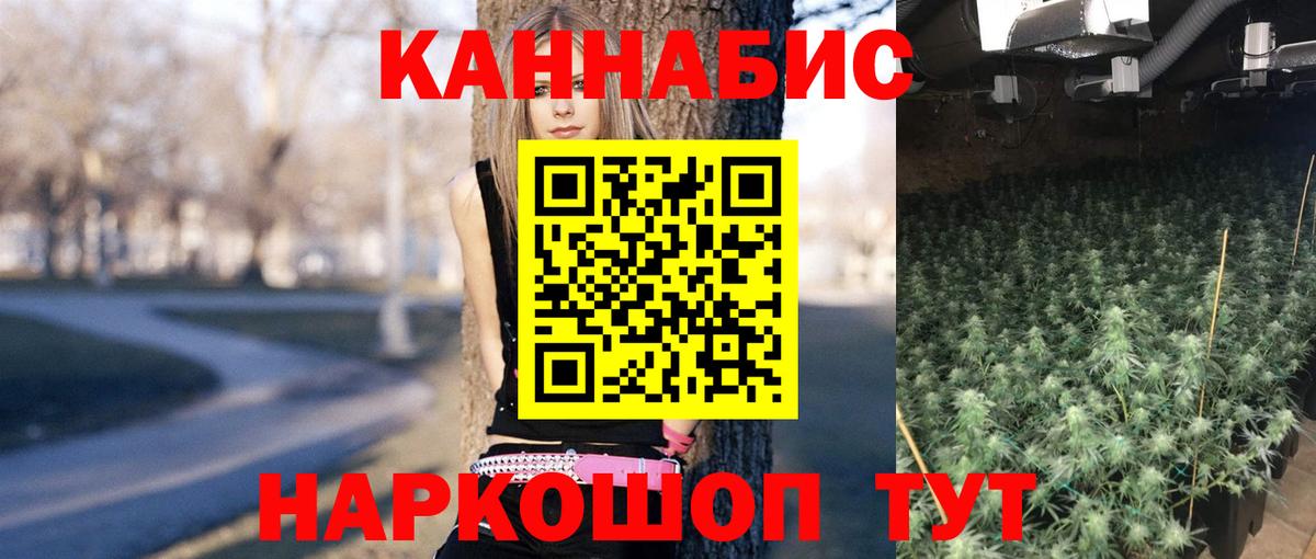 МАРИХУАНА планчик  Каннабис конопля  Вход с VPN  Каменка  Бошки марихуана Amnesia 